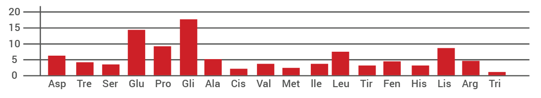 Gráfico Folium